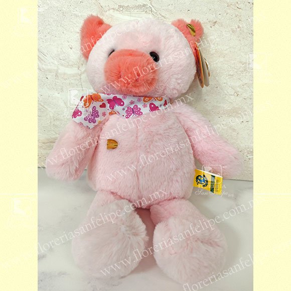 Puerquito Con Pa&ntilde;uelo